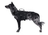 Ham tactic canin K9 UNIT Primal Gear WARZONESHOP