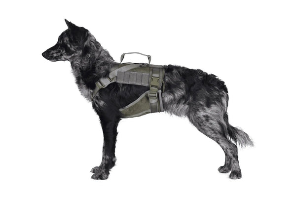 Ham tactic canin K9 UNIT Primal Gear WARZONESHOP