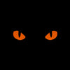 Patch Cat Eyes fosforescent M-TAC WARZONESHOP
