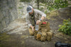 Camasa tactica Helikon - Tex® Defender Mk2 Shirt | Echipament tactic WARGEAR