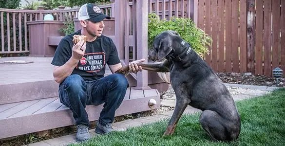 Tricou K9 Unit Helikon - Tex® | Echipament tactic WARGEAR