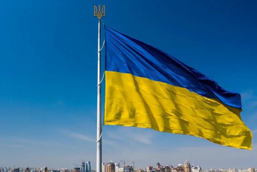 Bratara Paracord Duality Ucraina | Echipament tactic WARGEAR