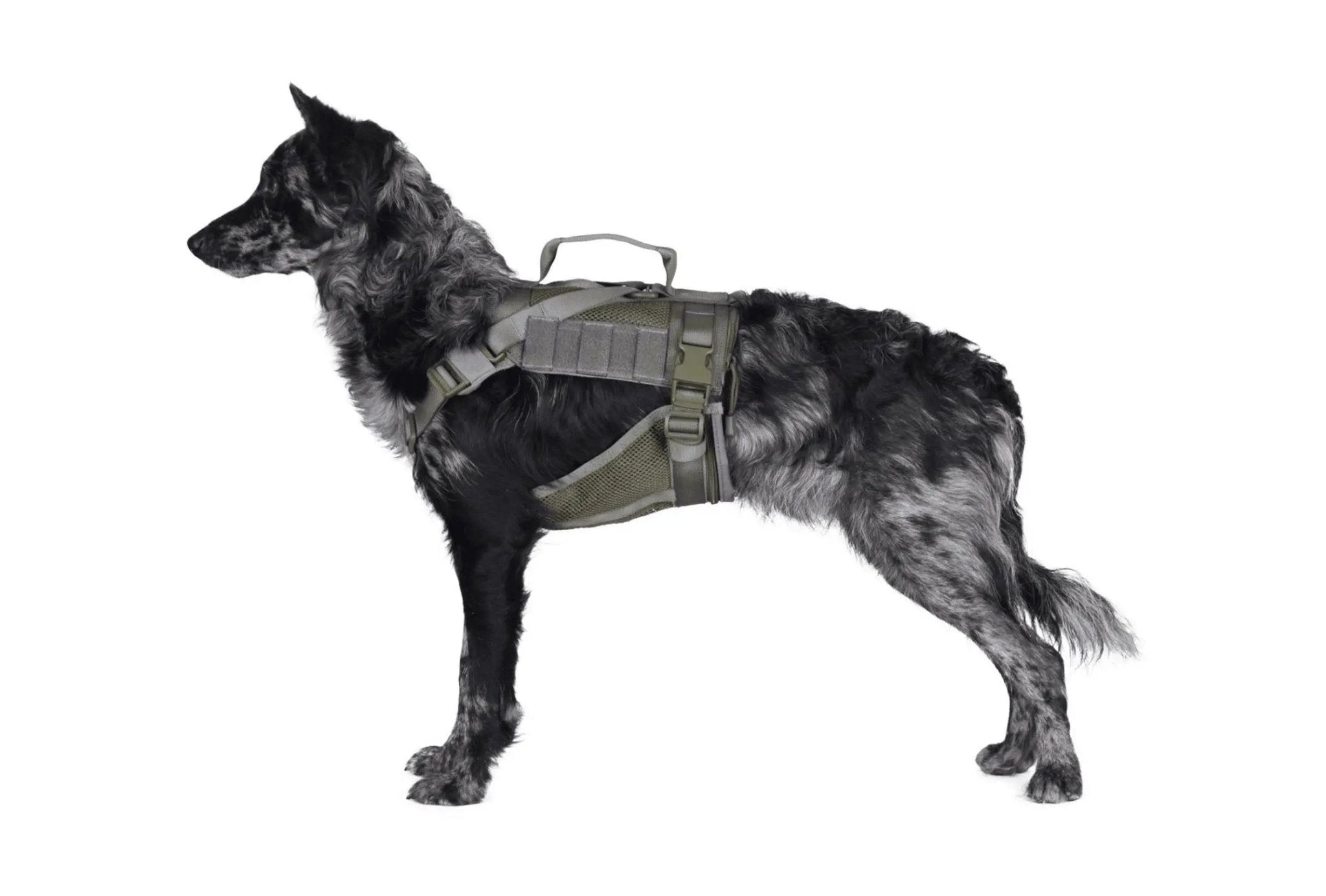 Ham tactic canin K9 UNIT Primal Gear | Echipament tactic WARGEAR