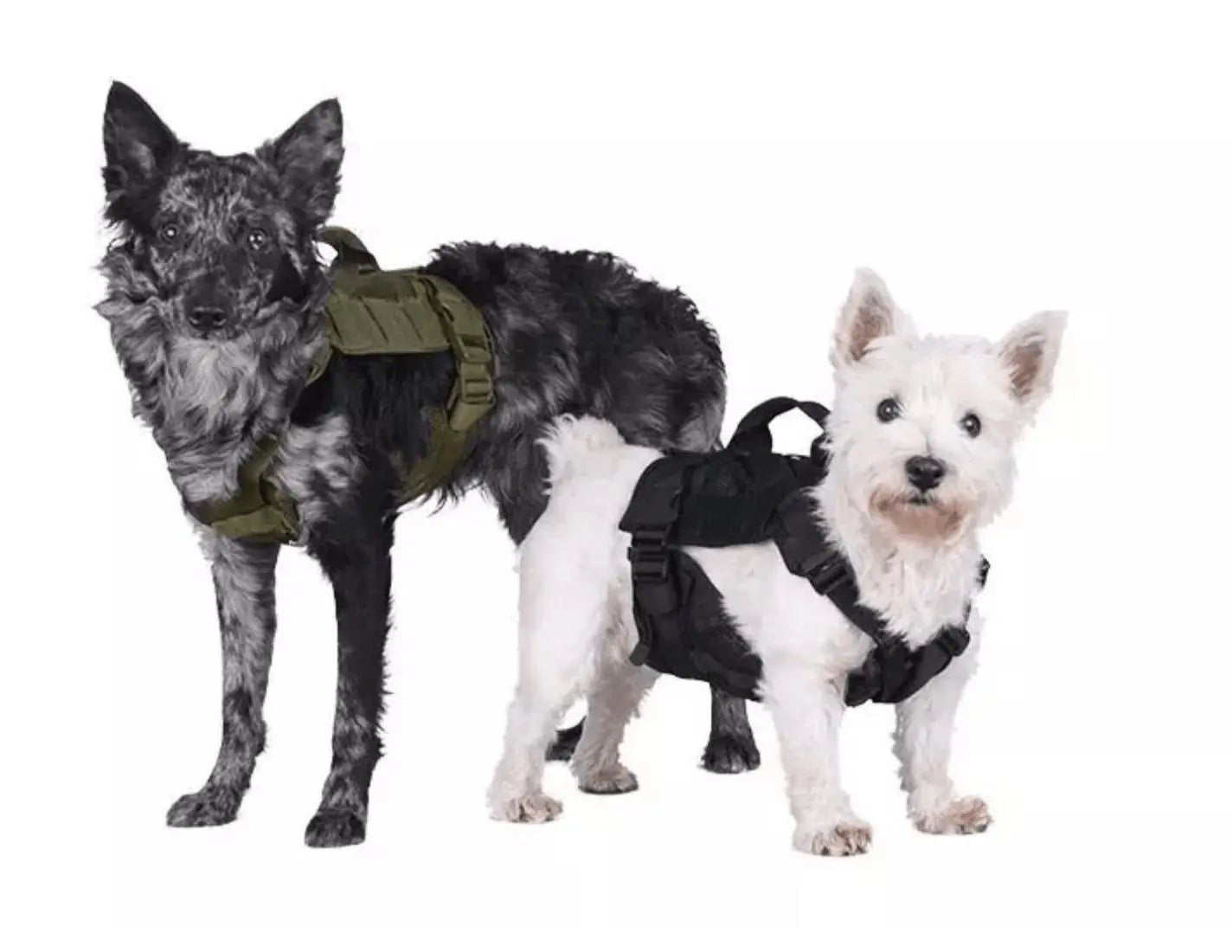 Ham tactic canin K9 UNIT Primal Gear | Echipament tactic WARGEAR