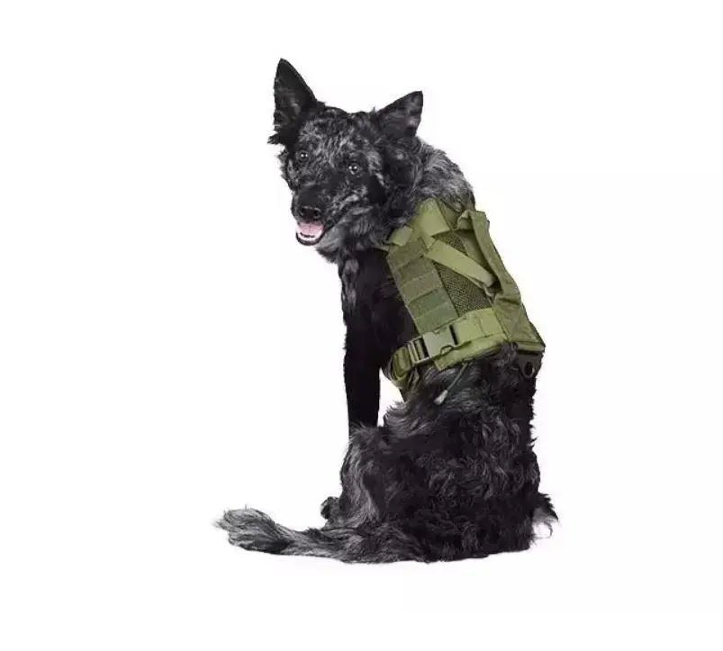 Ham tactic canin K9 UNIT Primal Gear | Echipament tactic WARGEAR